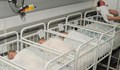 Бейби бум в бургаска болница - 10 бебета за 12 часа