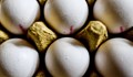 Лидл незабавно спря от продажба яйцата с фипронил