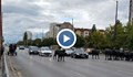 Стадо говеда блокира столичен булевард