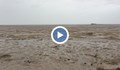 "Ирма" изсмука водата край плажовете на Бахамите