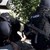 Спецзвено "КОБРА" проведе акция в столицата Спецзвено "КОБРА" проведе акция в столицата
