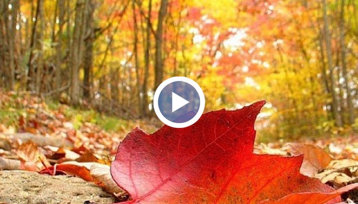 В събота и неделя облачността в страната ще е разкъсана