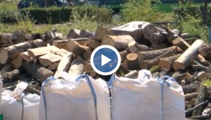 Четирима са санкционирани заради невярно подадена информация