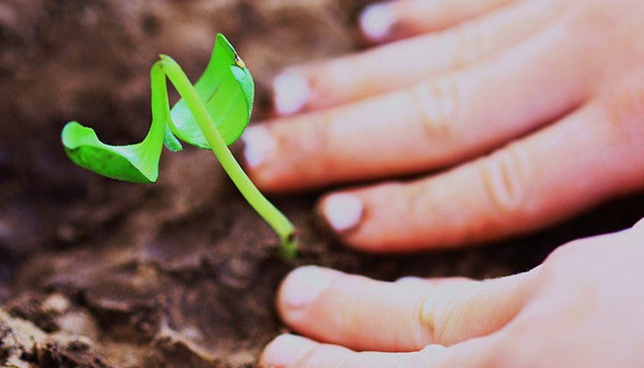 Есенното равноденствие е уникален преломен момент Есенното равноденствие е уникален преломен момент