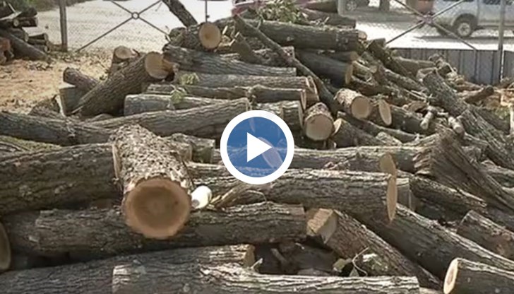 На места цените надхвърлят 100 лева на кубик