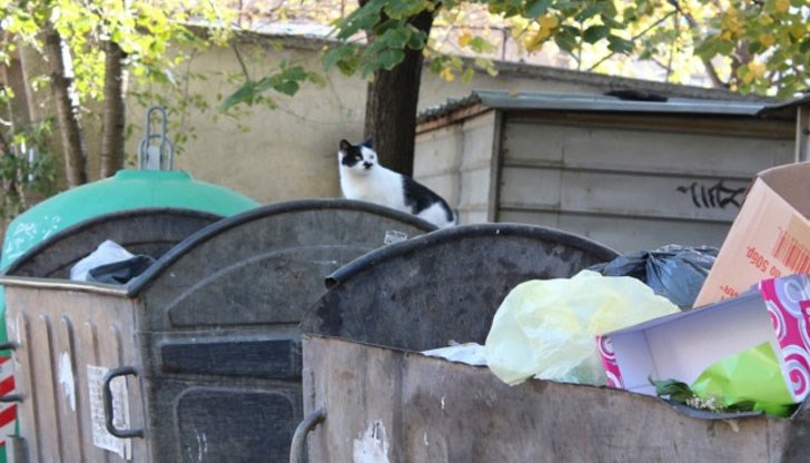 Когато се усетили в офиса, боклукчийският камион отдавна бил изпразнил контейнера на сметището Когато се усетили в офиса, боклукчийският камион отдавна бил изпразнил контейнера на сметището