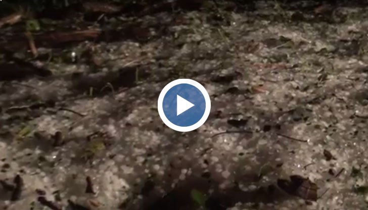 Километрични опашки, задръствания, паднали клони на всеки 50 метра по пътя Русе - Бяла