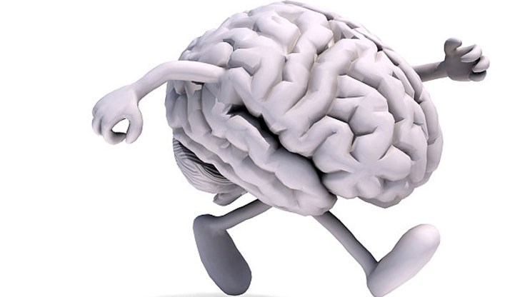 Загубата на част от мозъчната функция с възрастта за съжаление е често срещана, затова е особено важно да полагаме грижи за мозъка си Загубата на част от мозъчната функция с възрастта за съжаление е често срещана, затова е особено важно да полагаме грижи за мозъка си