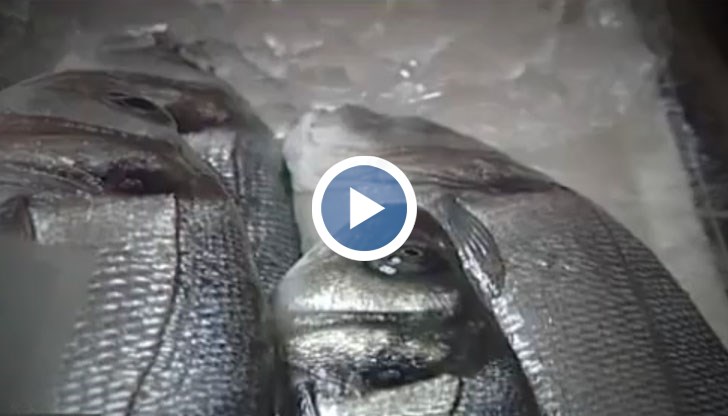 В рибата, която се продава у нас, се съдържат тежки метали