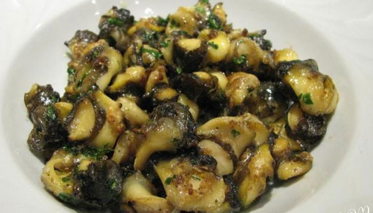 Три японски компании са заявили интерес за сътрудничество с български производители