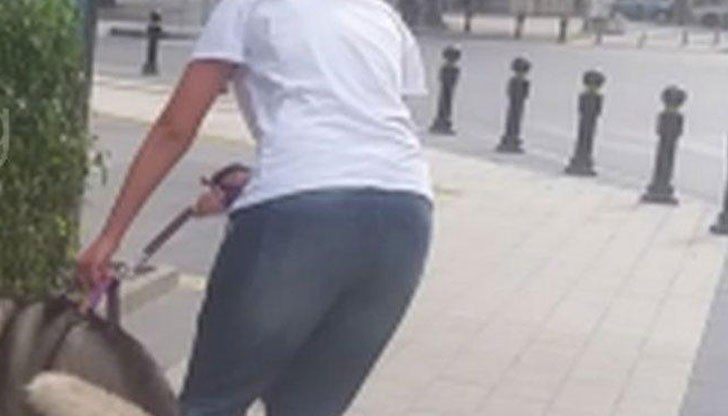 Стопаните на кучето не си мръднали пръста