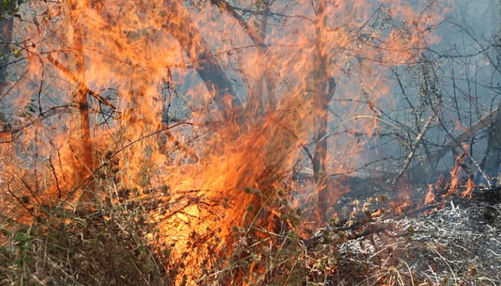Като причина за пожара е отчетена небрежност при боравене с открит огън, хвърлена неизгасена цигара Като причина за пожара е отчетена небрежност при боравене с открит огън, хвърлена неизгасена цигара