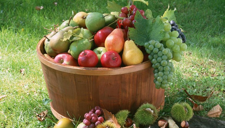 Събитието се организира от „Общински пазари” ЕООД Събитието се организира от „Общински пазари” ЕООД