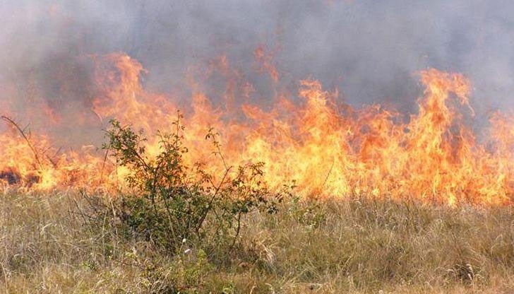Най-големият пожар е бил във ветовска местност - пламнали са 2 000 декара / Снимката е илюстративна