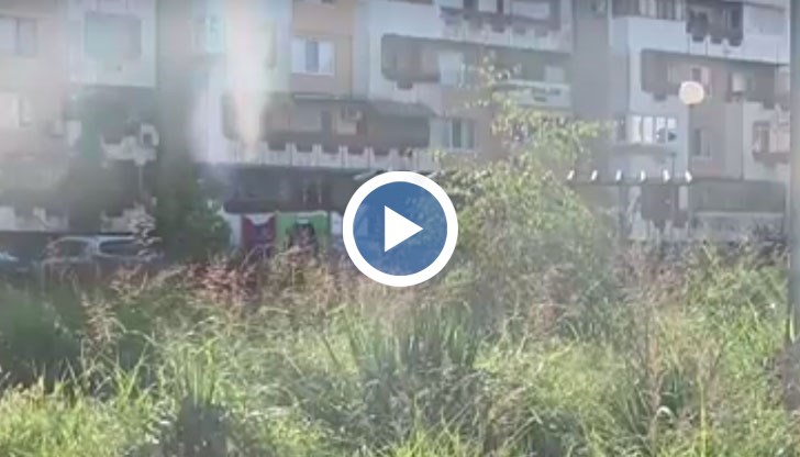 Абсурд в Русе: Площадката за деца до 6 години е окосена, но тази за по-малките - не