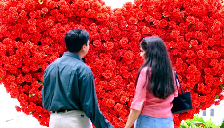 Ето кои са те и какво ги чака през следващите няколко месеца