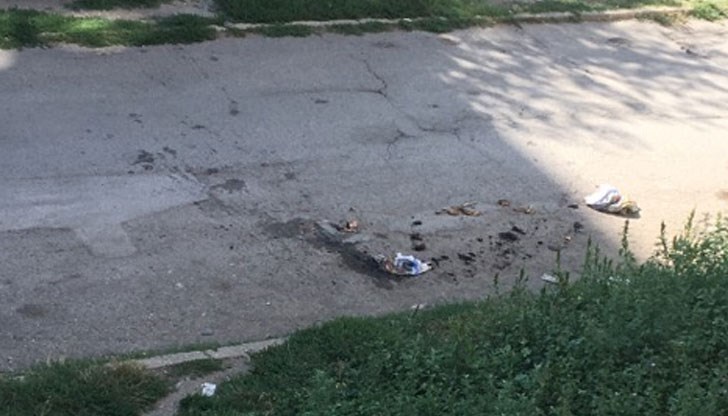 Волно или неволно камионите извозващи боклука, правят по-голям боклук!