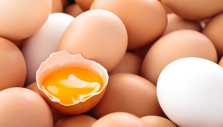 Констатирано е съдържание на фипронил над нормата