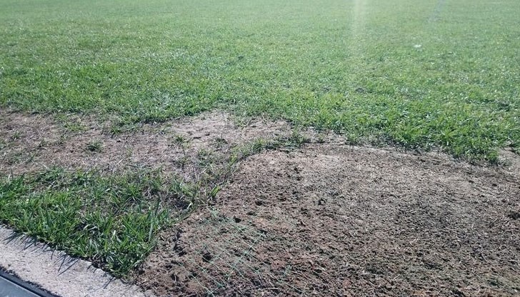 По думите на министъра "от рехабилитиране се нуждаят няколко малки участъка, които са в рамките на под 1% от площта на терена"