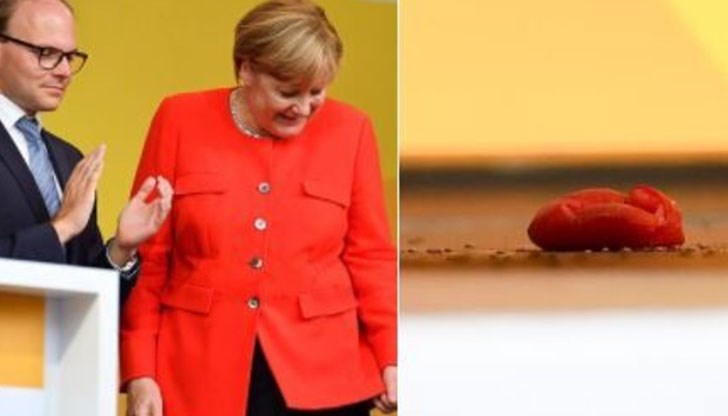 Ангела Меркел реагирала на инцидента с усмивка