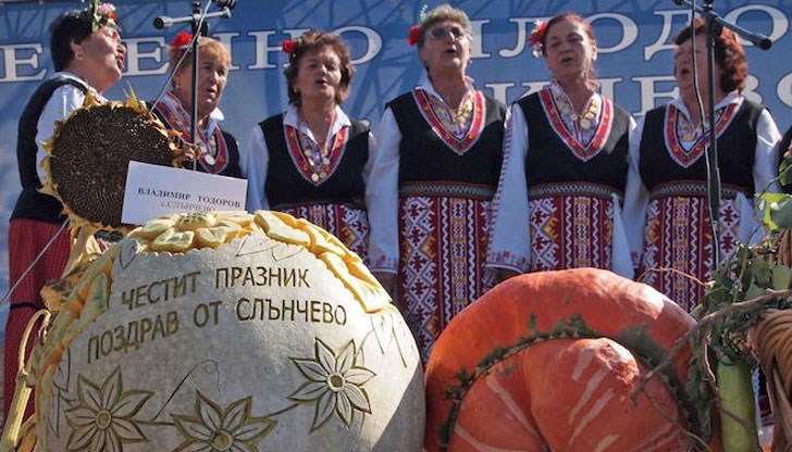 Гигантският зеленчук е отгледан в градина на шабленеца Тодор Петров