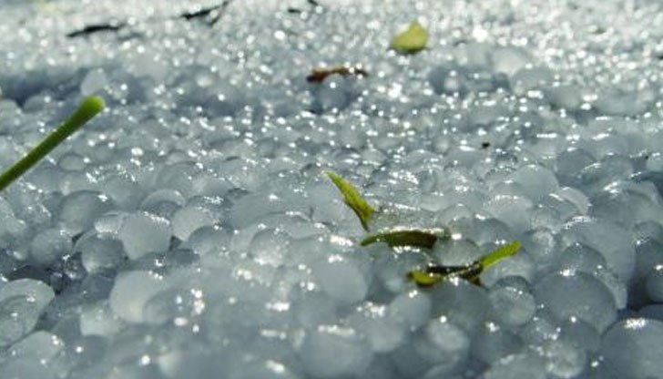 Вятърът и дъжда не ни простиха! Вятърът и дъжда не ни простиха!