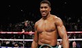 Джошуа: Щях да победя Пулев още в 4-ия рунд!