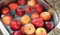 Как да мием плодовете, за да премахнем химикалите