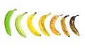 Кой банан ви изглежда най-добър за консумация?