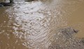 Пороен дъжд наводни къщи в община Сливо поле