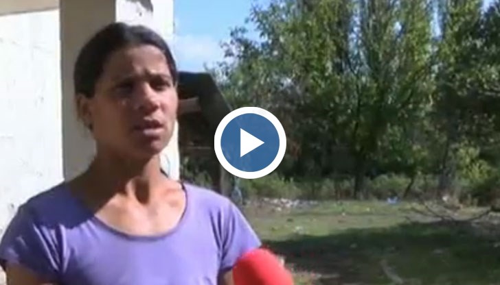 2-годишното дете преживя нощ в гората, дават го на приемно семейство