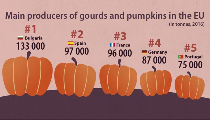 Нашата страна е произвела 133 000 тона от големия зеленчук