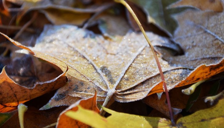 С пожелания за успешен работен ден!