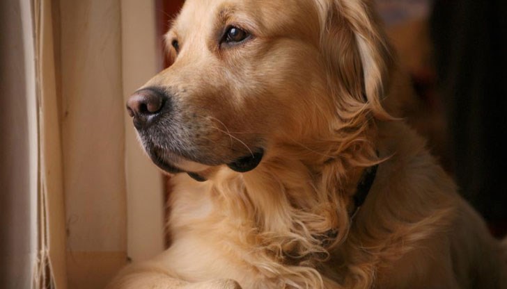 Въвеждането на ред и тишина в живота на софиянци, набъбва с нови предложение