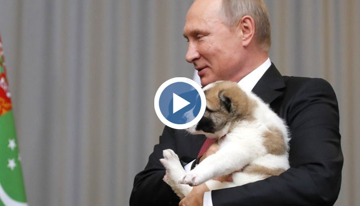 Президентът на Туркменистан подари на Путин куче, носещо името Верний