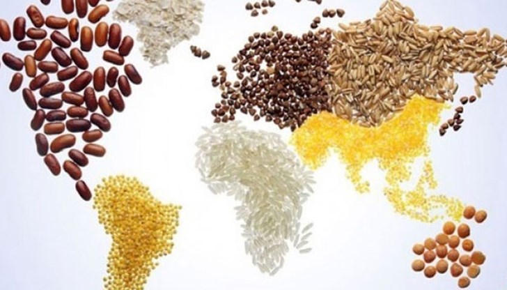 РЗИ - Русе дава съвети за храната