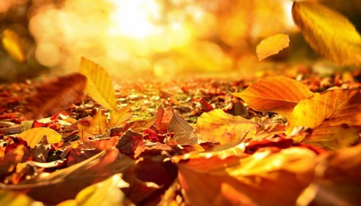 Максималните температури ще достигнат 26 градуса