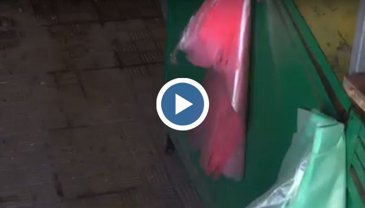 Екоинспекцията "погна" пазари и малки търговски обекти