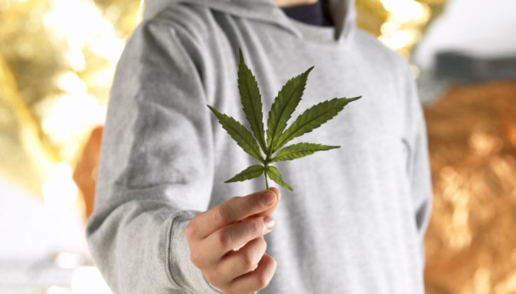 Най-често използваната дрога сред българските деца е марихуаната