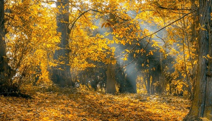 Очаква се максималните температури днес да достигнат 20° Очаква се максималните температури днес да достигнат 20°