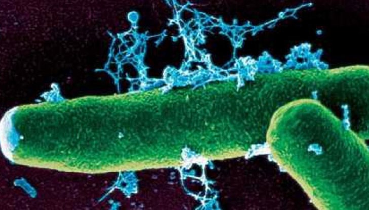 Взети са всички необходими мерки за хоспитализация и адекватно лечение на болния