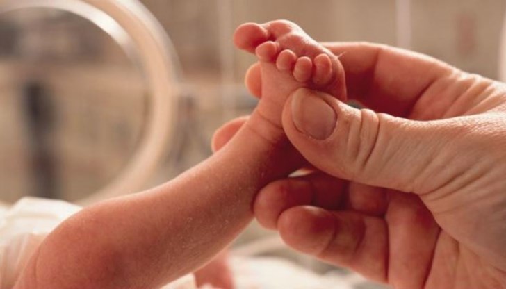 Аутопсията е установила, че бебето е било родено живо и живяло едва десетина минути