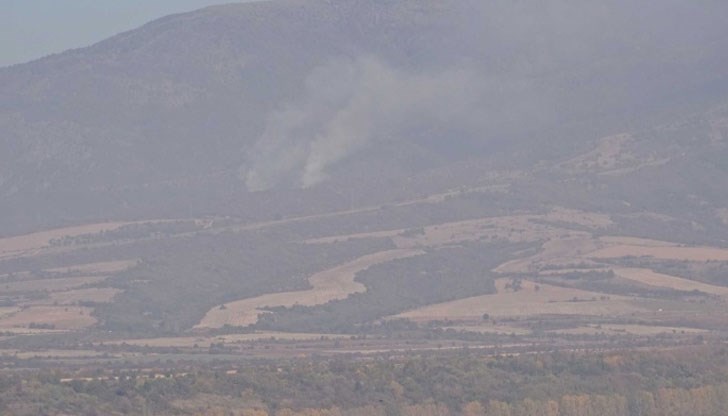 Огънят е тръгнал от подпалени сухи треви и храсти Огънят е тръгнал от подпалени сухи треви и храсти