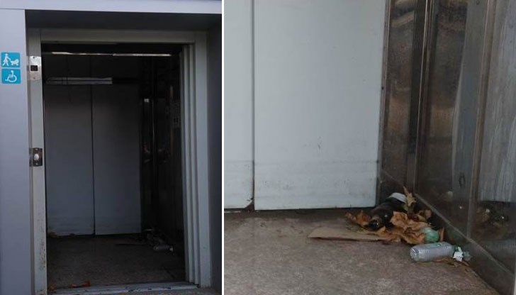 Нужно ли беше до се дават чували с пари за безплатни градски нужници?