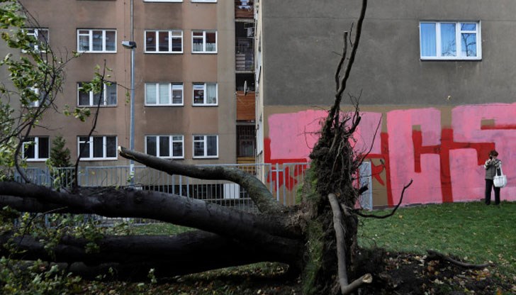 Бурята остави без ток хиляди чешки и полски домакинства
