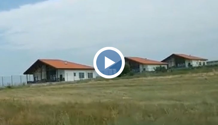 Христина Стойкова беше отстранена от длъжност след разкритията за шуробаджанащина