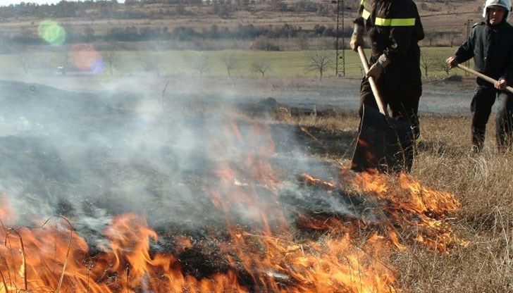 Пожарникари гасиха запалено стърнище в близост до неожънатата нива / Снимката е илюстративна