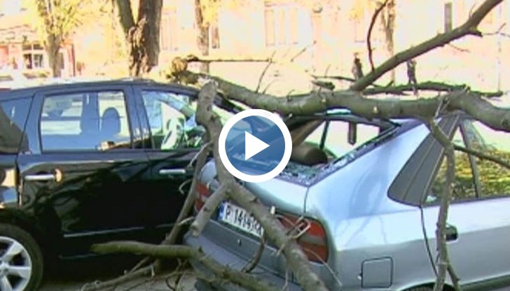 Поривите на вятъра достигнаха 86 км в час в Русе