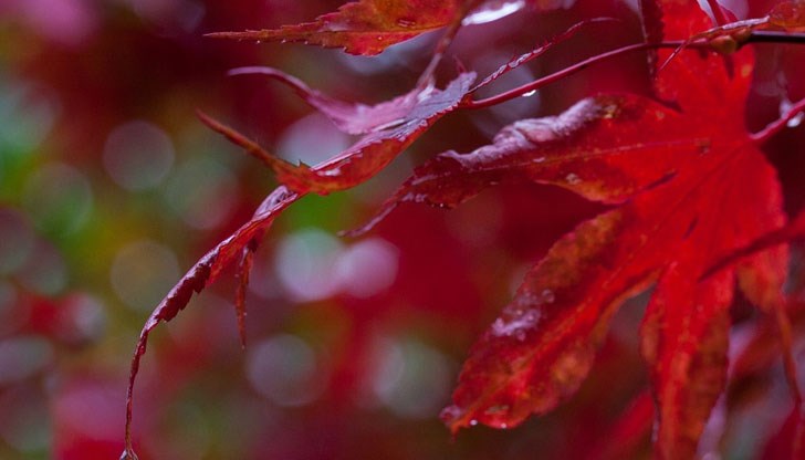 Приятна събота и неделя!