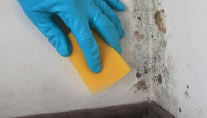 Ще ви покажем как да направите супер спрей за унищожаване на бактерии и плесени във вашия дом